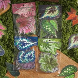20 pcs Plants Flowers Leaf PET Sticker pack Hand Account Collage Junk Journal Planner Scrapbooking Decor Stationery Stickers
