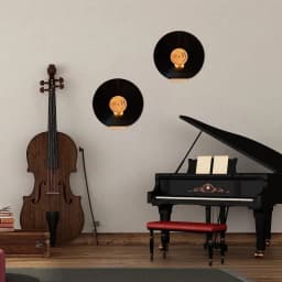 Wooden Wall Mount Vinyl Record Rack Wall Display Storage Holder for Music Albums CD Discs Home Decor Shelf Storage Rack