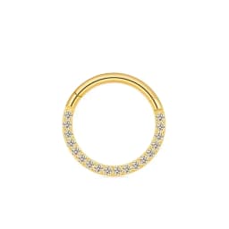 G23 Titanium Nose Ring 14G 16G 18G 20G Hinged Segment Cartilage Tragus Earring Helix Daith Hoops Septum Clicker Piercing Jewelry