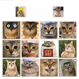 500Pcs Meimei Meme Cat Face Roll Stickers, Cute Realistic Kitten Expression Self-adhesive Labels for Journal Packaging DIY Decor