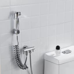 Brass Vintage Spray Gun Kitchen Pull-Out Flush Head Bathroom Toilet Companion Booster Flusher 9285K