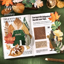 JIANWU Vintage Autumn Leaves Maple Leaf Landscape Material Collage Scrapbooking PET Sticker Creative DIY Journal Stationery