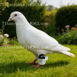Mini ip67 waterproof and dustproof bird GPS locator for outdoor bird activity locatoring