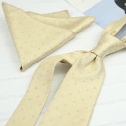 2pcs Neck Ties Set New Arrival Wine Red Striped Neckties Formal Business Khaki Dots Floral Pocket Square Wedding Shirt Cravat