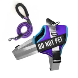 Nylon Reflective Dog Harness Personalized Breathable Dog Harness With ID Name Tag Pet Harness for Small Medium Large Dogs