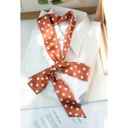 2025 New Spring Polka Dot Long Scarf Preppy Chic Polyester Red Butterfly Narrow Ribbon Bowknot Bag Accessories 180cm Cravat Gift