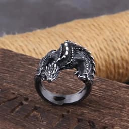 Viking Style Stainless Steel Huge Dragon Ring for Men Male Fashion Jewelry as gift with wooden box