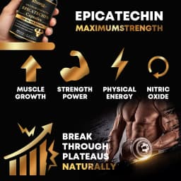 Epicatechin Capsules - Protein Synthesis, Athletic Ability, Strength, and Lean Muscle Support - Carnosine Inhibitors Supplements