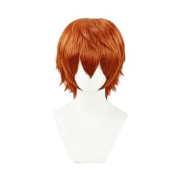 Multicolor Layered Short Spiky Synthetic Wig Unisex Anime Male Character Halloween Party Convention Game Cosplay Daily Fashion
