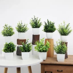 Wholesale OEM/ODM Artificial Mini Potted Plants Fake Sprayed Eucalyptus Plant in Pots House Plants for Home Office