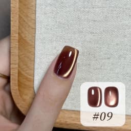 10ML 1-10PCS Winter New Style Hot Selling Black Nails Brown Nails Glass Bead Magnet Cat Eye Nail Polish Nail Set Nail Supplies