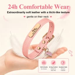 Luxury & Soft Leather Personalized Dog Collar and Pendant Pet Puppy Cat ID Nameplate Engraved for Small Medium Dogs