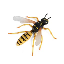 Oenux Realistic Bee Wasp Hornet Figurine Simulation Insect Model Prank Educational Cognitive Statue for Desk Display Collection