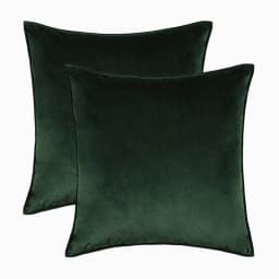 2pcs Set Velvet Throw Pillow Cover Decorative Cushion Case for Sofa Bedroom 30x50cm/45x45/50x50/60x60cm Modern Gift Pillowcase