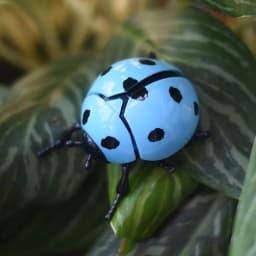 Wind Up Ladybird Bionic Toys Creative Prankster Animated Insect Toy Model Children's Plastic Animals Scarab Beetle Wind Up Toy