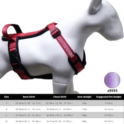 Custom Embroidered Reflective Dog Harness, Personalized Name & Phone, Adjustable No Pull Pet Vest for Small Medium Large Dogs