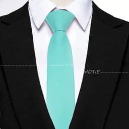 Mens Ties 6cm Classic Polyester Handmade Skinny Neck Tie For Wedding Casual Neckties Suits Soild Color Print Necktie Cravat Gift