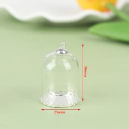 4/6/8/10CM Doll Glass Dome Display Wood Cork Bell Jar With Wooden Base Decoation Craft Table Decoation Craft