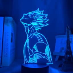 3d Night Light Anime Haikyu Bokuto Light for Bedroom Decor Child Kids Birthday Gift Manga Gadget Kotaro Bokuto Lamp Haikyuu