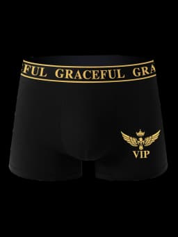 4 Piece Men's Underwear Soft Breathable Comfortable Men's Boxer Briefs High-end Black Casual Sports High Quality Men's Pants
