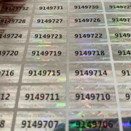 1000PCS HOLOGRAM TAMPER PROOF SECURITY WARRANTY VOID STICKER LABEL SEALS 20 x 10mm