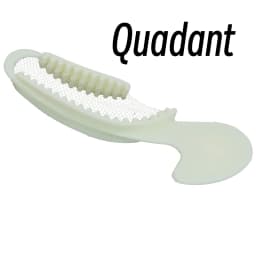 10Pcs Dental Bite Impression Trays Disposable Registration Tray with Net Colorful Teeth Holder Mold Posterior Anterior Front