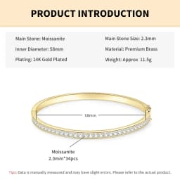 Rrjzz Exquisite Single Row 2.3mm D-Color Full Moissanite Bracelet Channel Set 58MM Inner Diameter Bangle for Women Jewelry Gifts