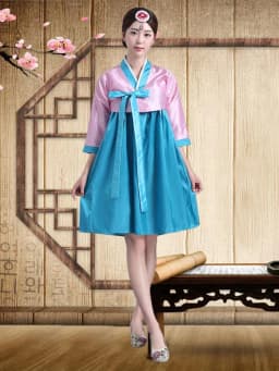 Embroidered Short Korean Traditional Costume Women's Dance Performance Clothes  Ethnic Group Large Long Jin Outfits