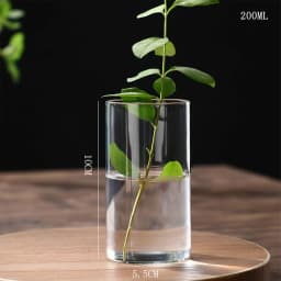 Hydroponics Plants Desktop Glass Planter Vase Glass Vase Transparent Cylinder Flower Vase Bedroom Desktop Home Decoration