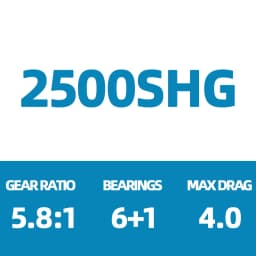 2023 SHIMANO STRADIC Spining Fishing Reel 6+1BB MAX DRAG 3-11KG Saltwater Reel 4000/C5000XG STRADIC REEL