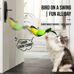 iLMH Indoor Interactive Birds Toy for Cat Chasing Teasing Toy Sounding Catnip Cat Teaser Toy Self-hilarity Wall Hanging Cat Toy