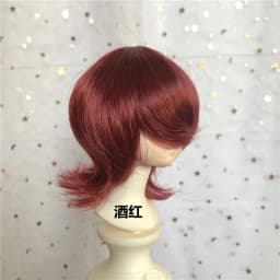 Doll's Wig for 1/3 1/4 1/6 1/8 Male Female Bjd Doll Wolf Tail Type Short Hair Diy Girl Toys Dress Up Doll Accessories, No Doll