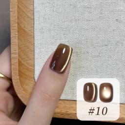 10ML 1-10PCS Winter New Style Hot Selling Black Nails Brown Nails Glass Bead Magnet Cat Eye Nail Polish Nail Set Nail Supplies