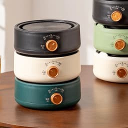 Electric Tea Stove Multifunctional Mini Anti Dry Burning Fast Heating Electric Hot Plate for Office Home CN Plug 220V