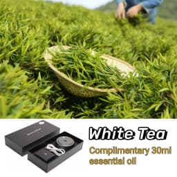 Car Mounted High-End Intelligent Spray Fragrance With Strong And Long-Lasting Aroma Alloy Material Accessory Car Air Freshener