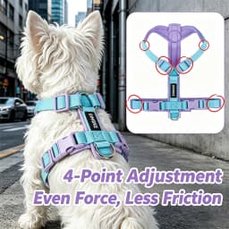 Dog Harness for Small Medium Large Dogs No Pull Breathable Adjustable Pet Chest Strap Outdoor Dog Supplies Puppy Vest Harness