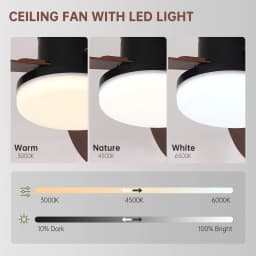 Ceiling Fan with Light 3 Colors, 6 Speeds, Timing, Ceiling Fan with Remote Control 3 Blades for Kitchen Bedroom Dining Room