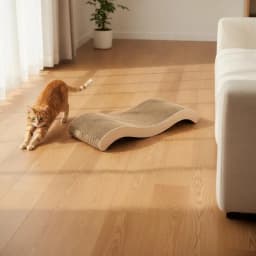 Ergonomic Wave Shaped Cardboard Cat Scratcher Durable Indoor Sleeping Bed Rest Pad For Cats