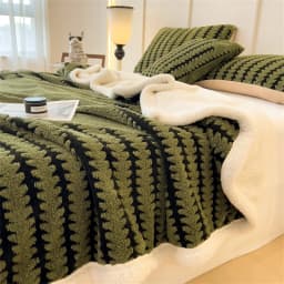 Warm Flannel Autumn Winter Blanket Super Soft Fluffy Queen Blanket Single Double Cozy Skin-friendly Multifunctional Nap Blanket