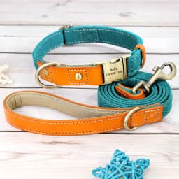 Nylon Custom Dog Puppy Collar Leash Set Personalized Genuine Leather Pet Nameplate ID Tag Accessories Collars Pet Products Perro