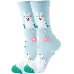 Fashion Colorful Spring Autumn Stocking Women's Socks Plant Hedgehog Slothsi Cotton Socks Personality Straight Trendy Socks