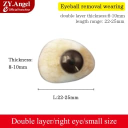 Resin Eye Prosthesis For Disabled Eyes After Removal Of Eyeball Atrophy Using Artificial Eye Prosthesis
