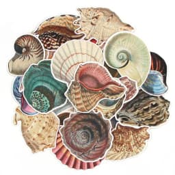 Vintage Conch Shell Sticker Label Scrapbooking Marine Life Stationery Stickers For Children Decorative Diary Album