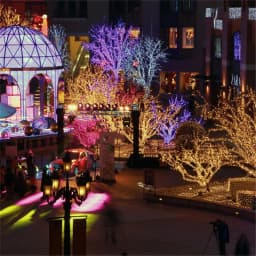LED Garland String Lights 10m 20m 50m 100m Christmas Tree Wedding Decoration Waterproof Fairy Light Indoor Outdoor 220V EU Lamp