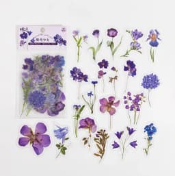 40 Pcs/pack Assorted Plant Flower Mushroom Ginkgo Pet Decorative Diary Stickers Sticky Notes for Scrapbooking Planner Stationery