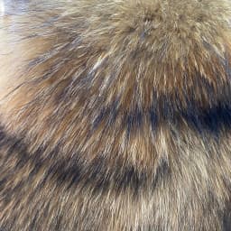 Women's Fur Coat - Winter Women's Warm Natural Raccoon Fur Coat - Fashionable Luxury Mainstream Brand Genuine Leather Coat