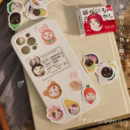 40 Pcs Kawaii Cat Stickers Set Aesthetic Cute Stationery Ideal for Laptop Journal Planner Scrapbook Cat Lovers