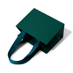 Oirlv 10Pcs Green Gift Bags Ribbon Handle Customizable Jewelry Shopping Bag Reusable Gift Packaging Bags Paper Gift Bags Packing