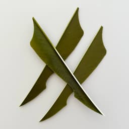 100 Pcs IBOUNFOX 4 Inch Natural Turkey Arrow Feathers Sting Shape Archery Fletches Feather Arrow Feltching Right Wing