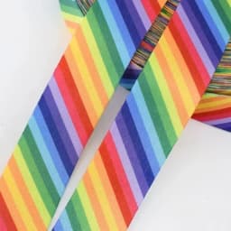 2 Meters Colorful Webbing Strap Purse Strap Ribbon Bag Straps Key Fob Luggage Belt Strap Rope Dog Pet Collar Accessories